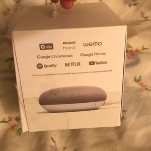 New google home mini